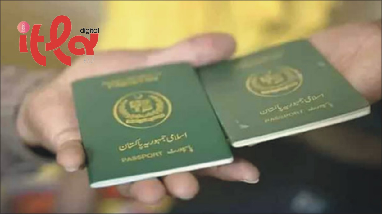 Nearly 250,000 Pakistanis Moved Abroad for Employment in Four Months