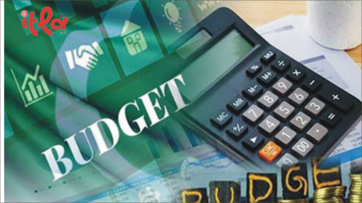 Gohar Ejaz Presents Shadow Budget to Government Ahead of New Budget