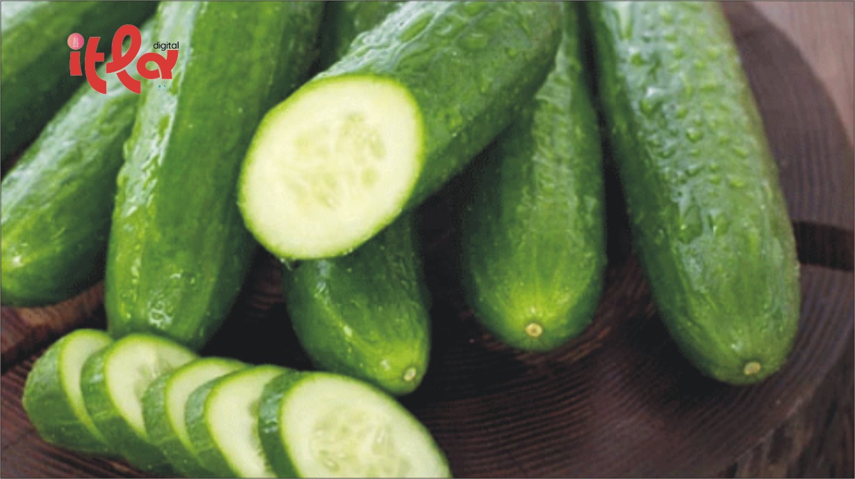 Eating Cucumbers Can Also Make You Sick
