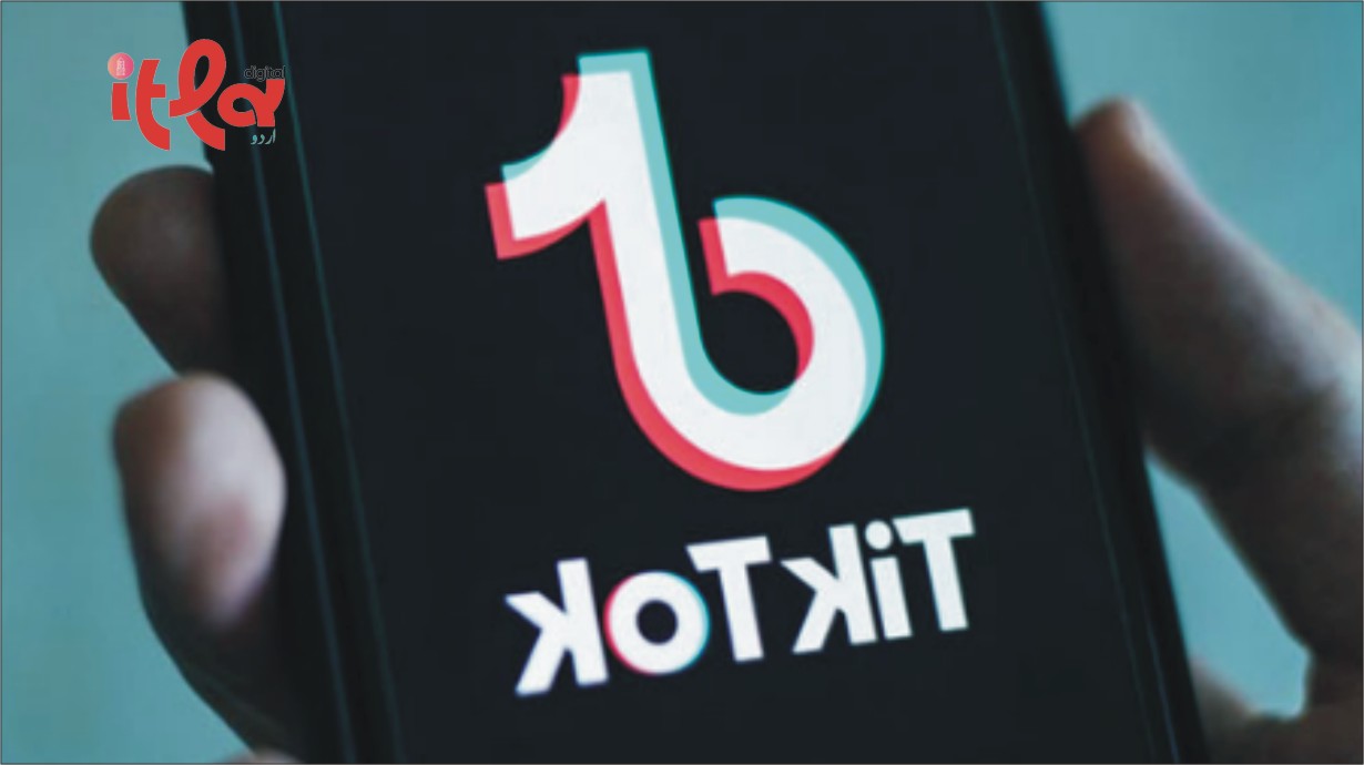 Petition Filed in Court to Ban TikTok
