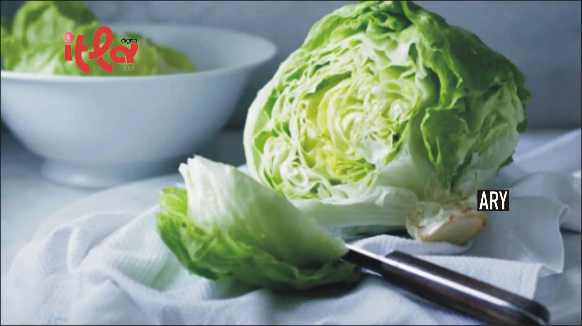 Cyclospora Health Alert Issued for Shredded Iceberg Lettuce in the US